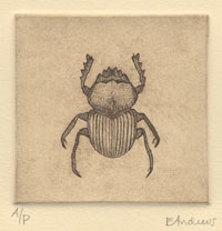 Scarab