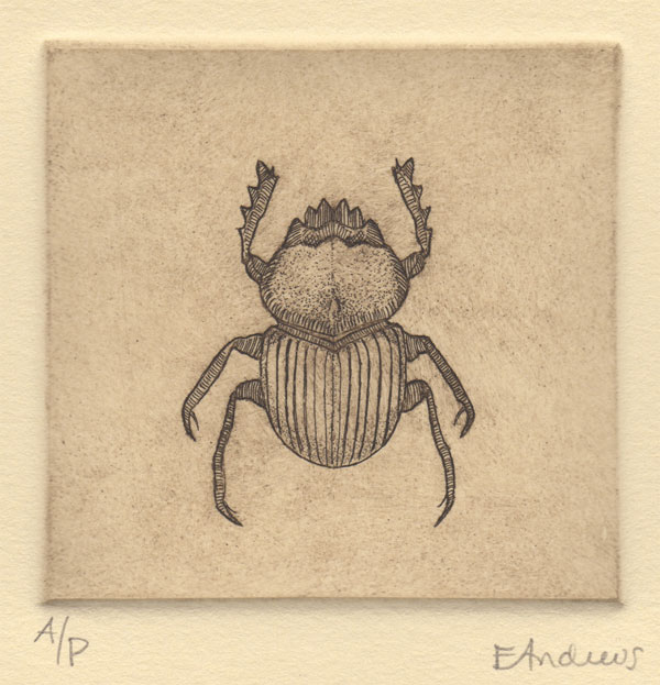 Scarab