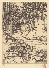 Tinkers Creek