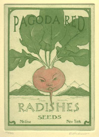 Radish Seeds